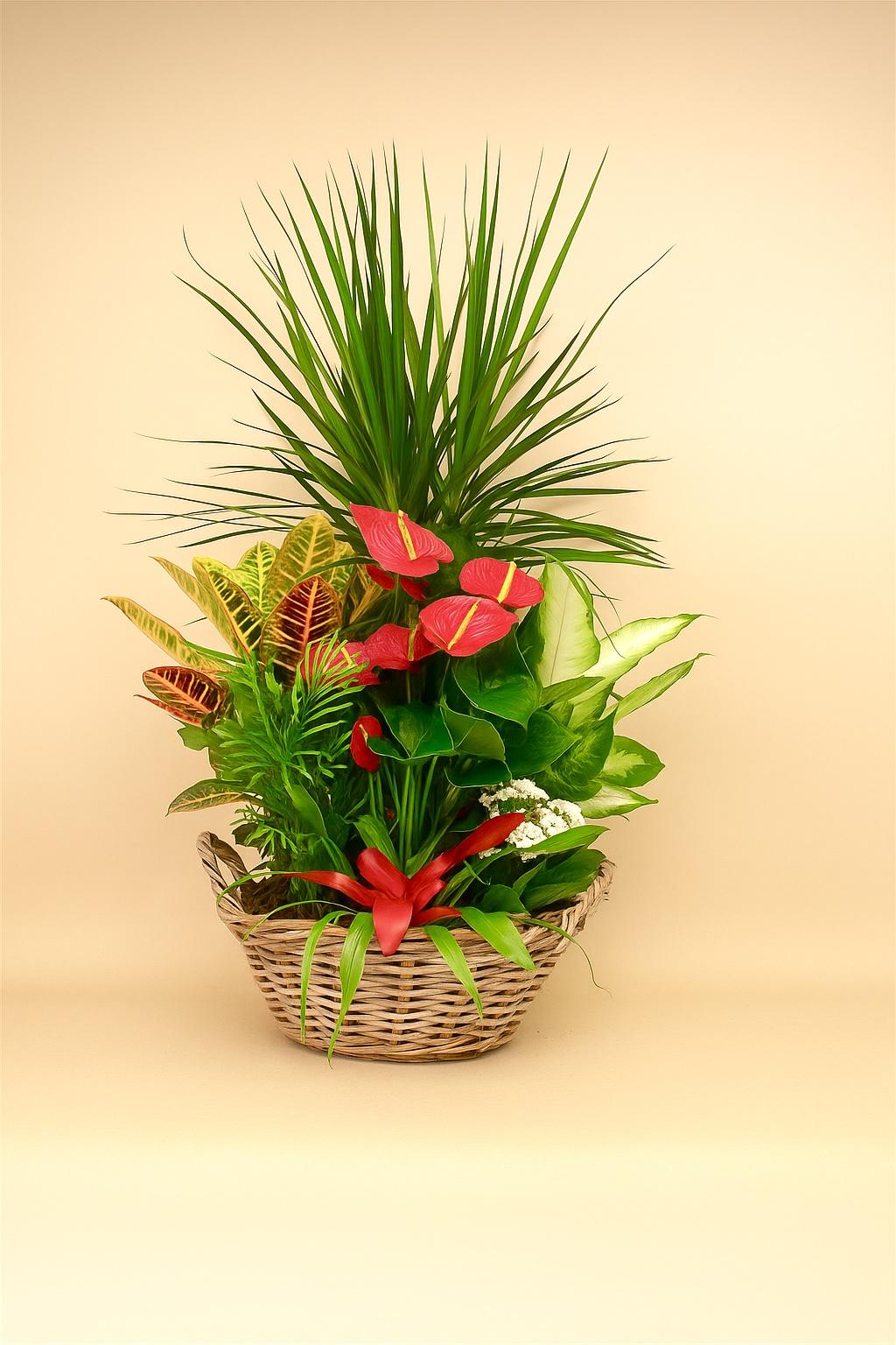 CESTA “Esencia Tropical”