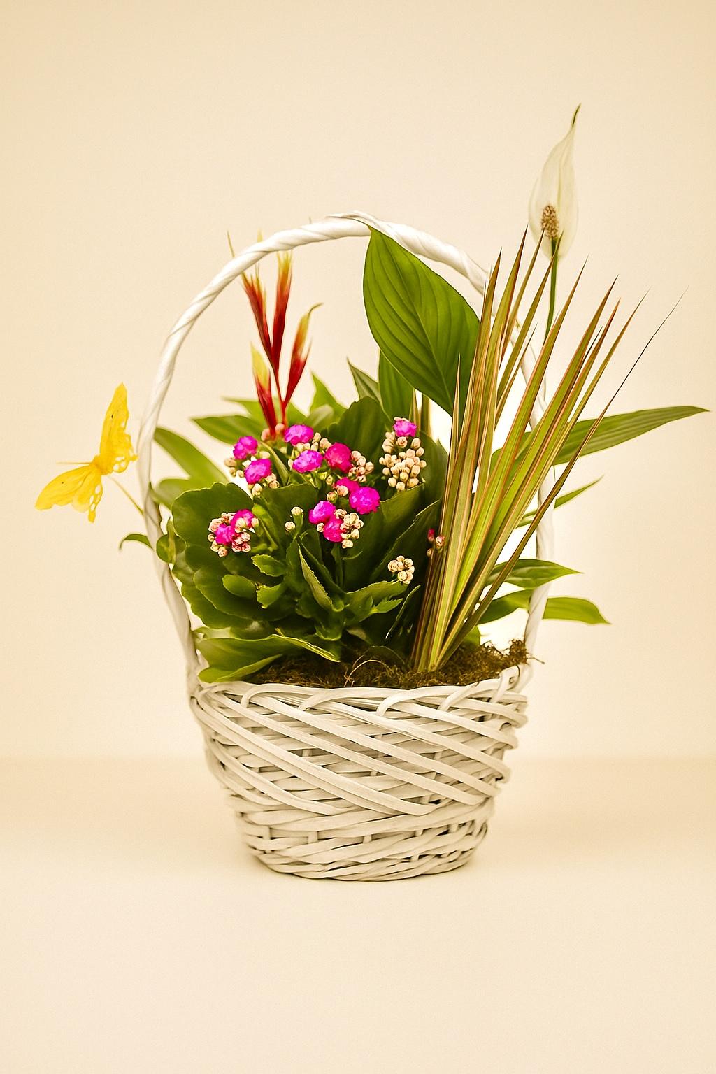 CESTA “Brisa Eterna”