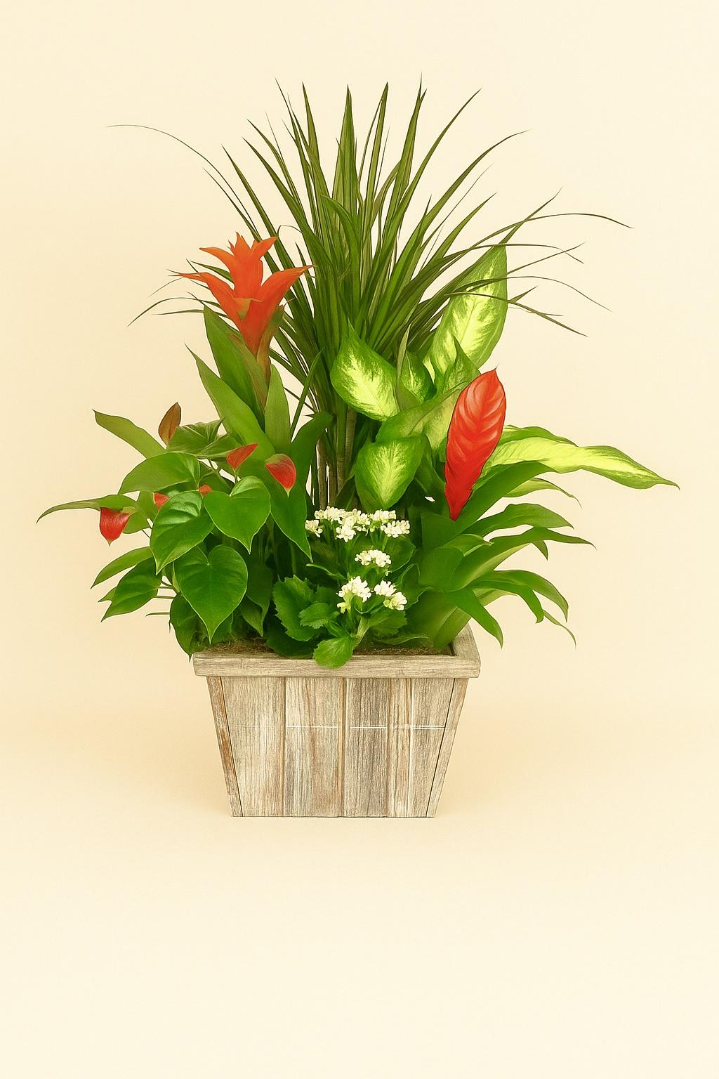 CESTA “Luz del amanecer”