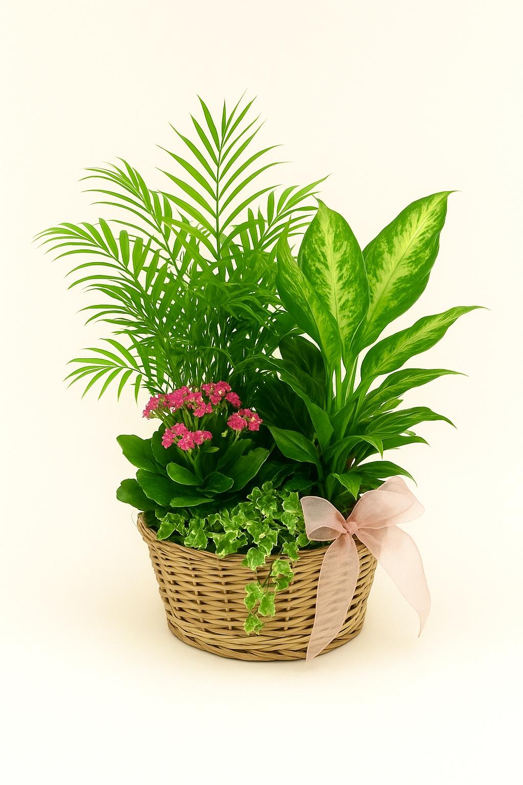 CESTA “Verde Amanecer”