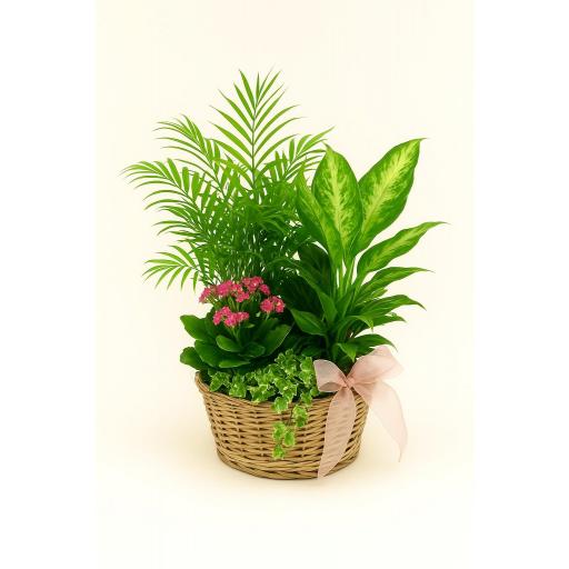CESTA “Verde Amanecer”