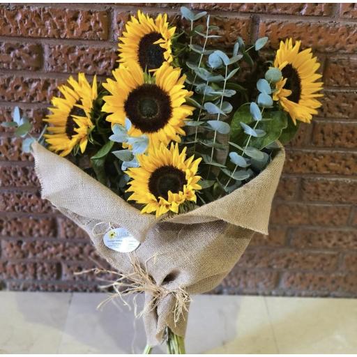 RAMO DE GIRASOLES [0]
