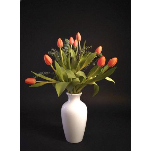 TULIPANES NARANJAS “Tulipán del Alba” [0]