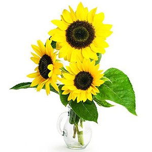 Sunflowers_Vase__1_.jpg