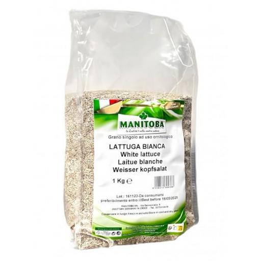 Lechuga Blanca Manitoba 1Kg [0]