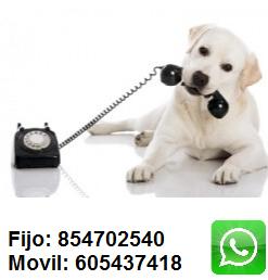 ATENCIÓN AL PÚBLICO