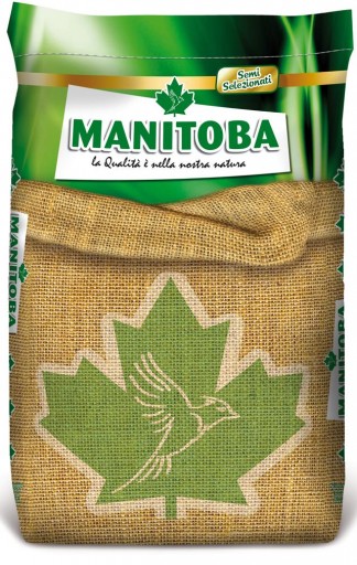 Manitoba linaza dorada1kg [0]