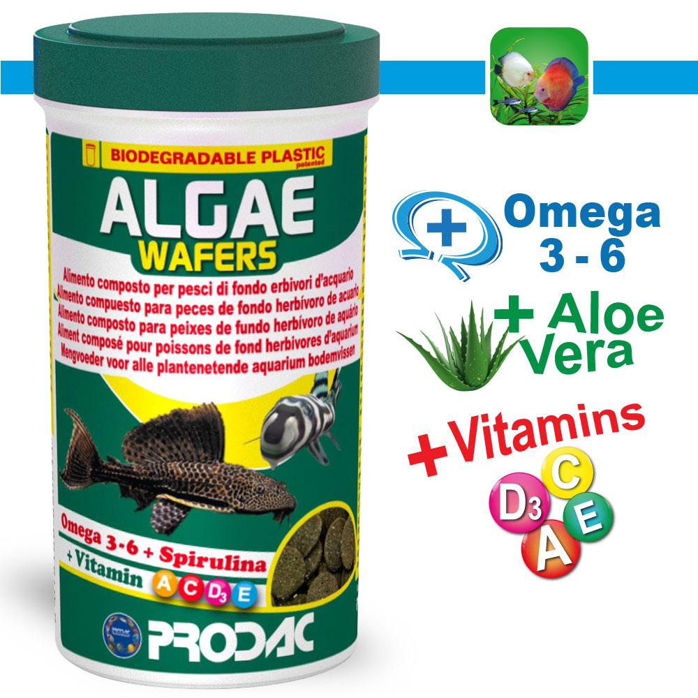 Prodac algae wafers 