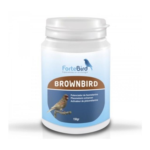 Brownbird Fortebird [0]