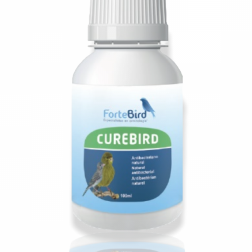 Curebird Fortebird