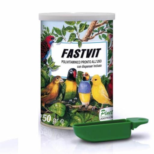 FAST VIT (EL MULTIVITAMÍNICO DE LOS CAMPEONES) PINETA