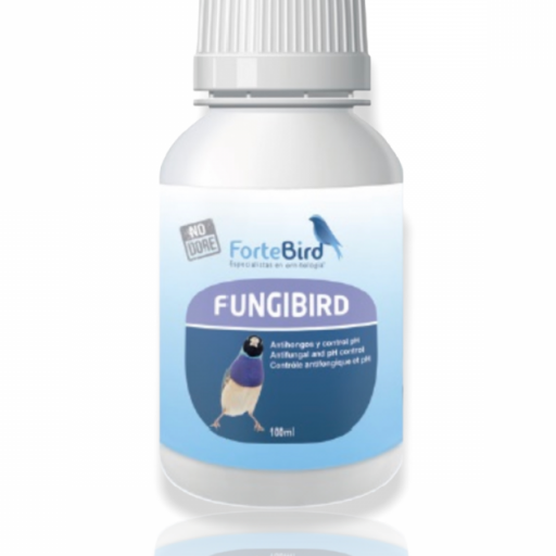 Fungibird Fortebird