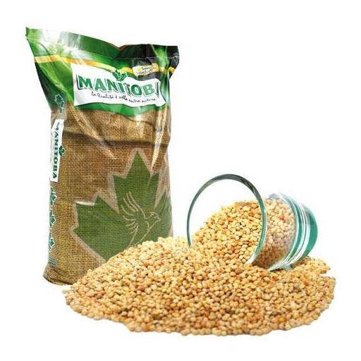 Mijo Blanco Manitoba 1 kg