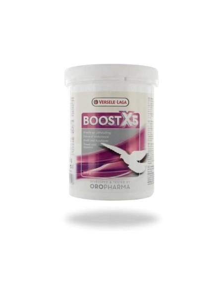 Fortificante Vitamínico para Palomas VERSELE LAGA Boots X5 500gr