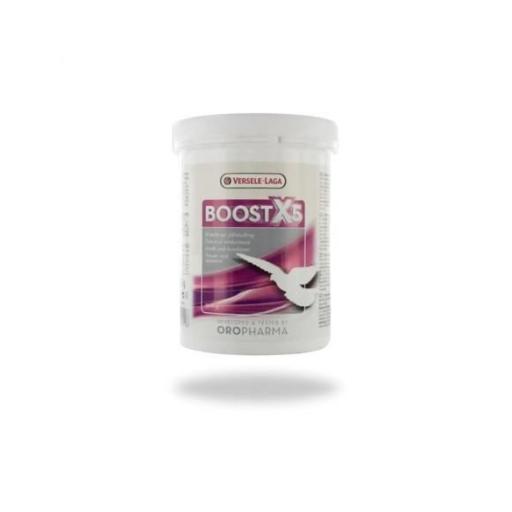 Fortificante Vitamínico para Palomas VERSELE LAGA Boots X5 500gr [0]