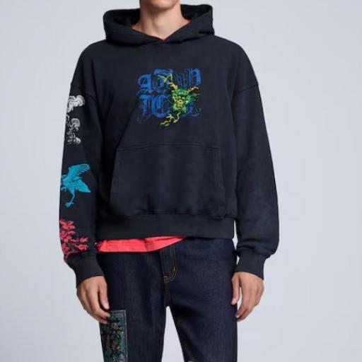 DESIGUAL SWEAT URBAN JAPO  [1]