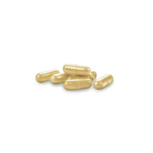 Cardo mariano (complex) 9.725 mg. 60 capsulas vegetales [1]