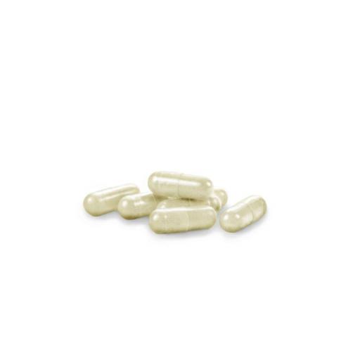Innopil® 600 mg. 60 capsulas [1]