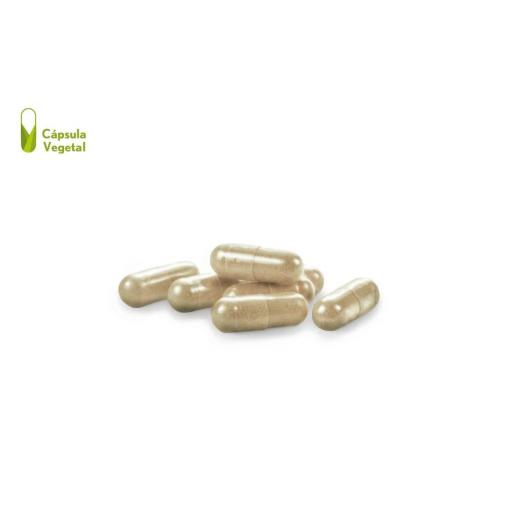 Moringa complex 4000 mg. (ext. Seco) 60 capsulas vegetales [1]