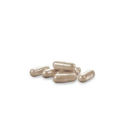 Propolis (Complex) 1600 mg. 60 capsulas [1]