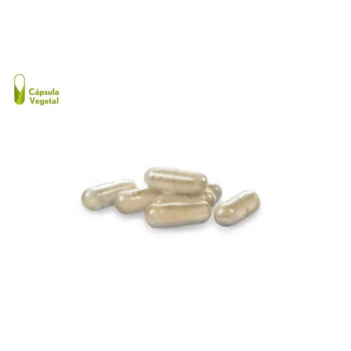 Prostaterum® 625 mg. 30 capsulas vegetales [1]