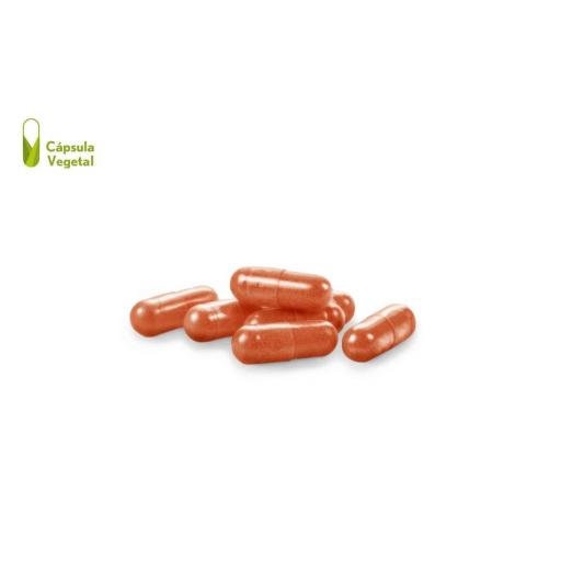 Vissiosen® 310 mg. 30 capsulas vegetales [1]