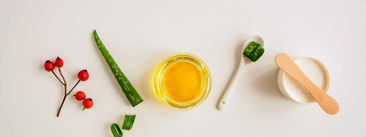 Aloe Vera + Baba de Caracol + Rosa Mosqueta