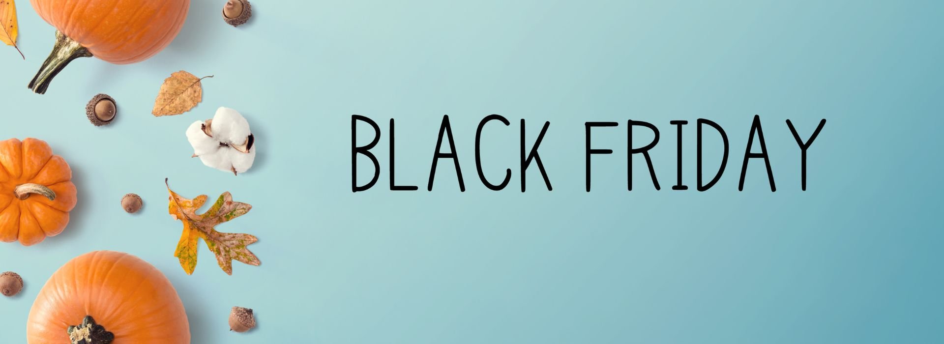 Black Friday 2023 fvdirect.jpg