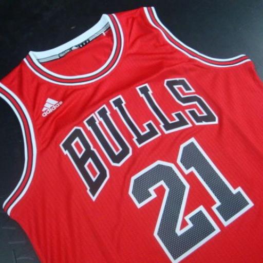 Camiseta Chicago Bulls 21 [2]