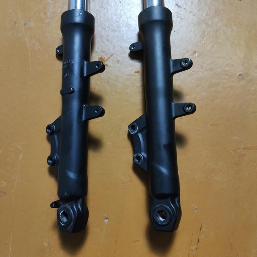 Amortiguador delantero [2]