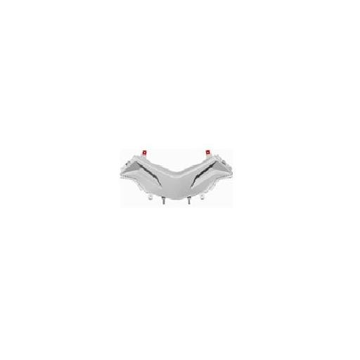 BRAVOGLE-047 Protector central trasero