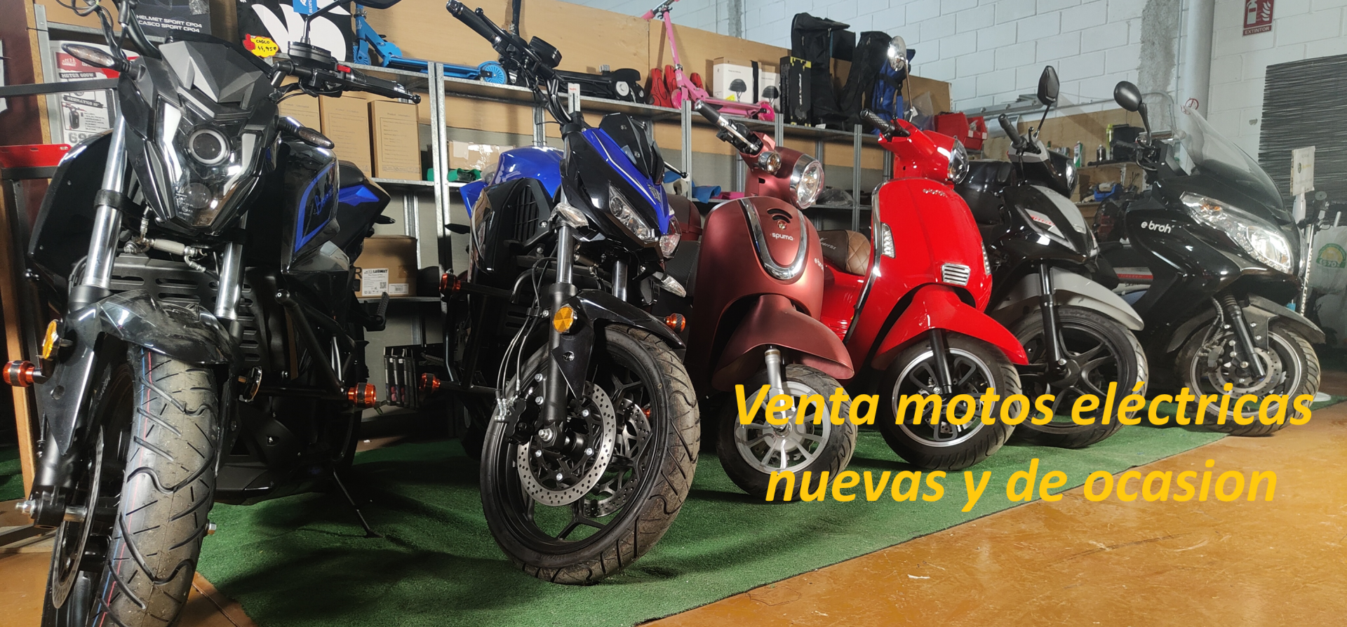 foto portada letras.png