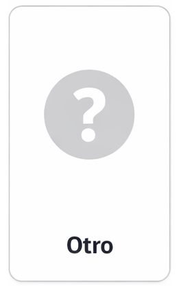 que tipo de vehiculo tienes otro.png