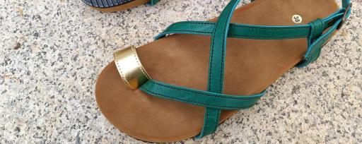 MODELOS DE EDICIÓN LIMITADA