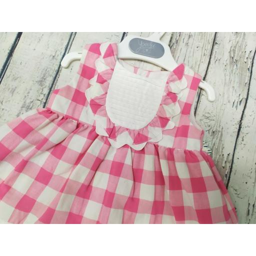 Vestido de niña cuadros en rosas . [1]