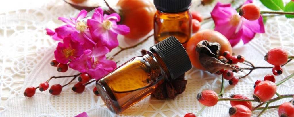 ALOE VERA - ACEITE DE ARGÁN - ROSA MOSQUETA