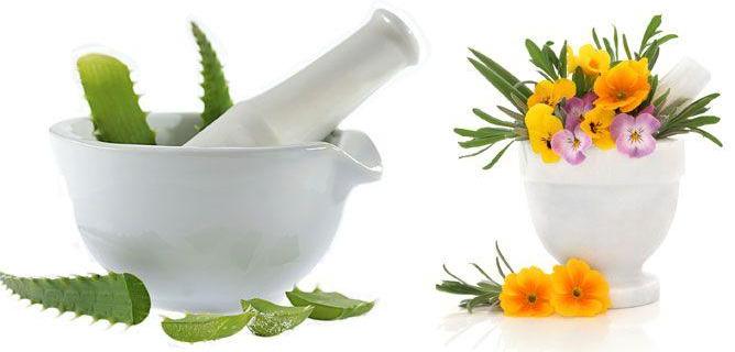 ALOE VERA - CALÉNDULA - ROSA MOSQUETA