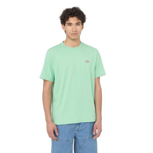 DICKIES Camiseta Mapleton Mens Short-Sleeved T-Shirt Mint [1]