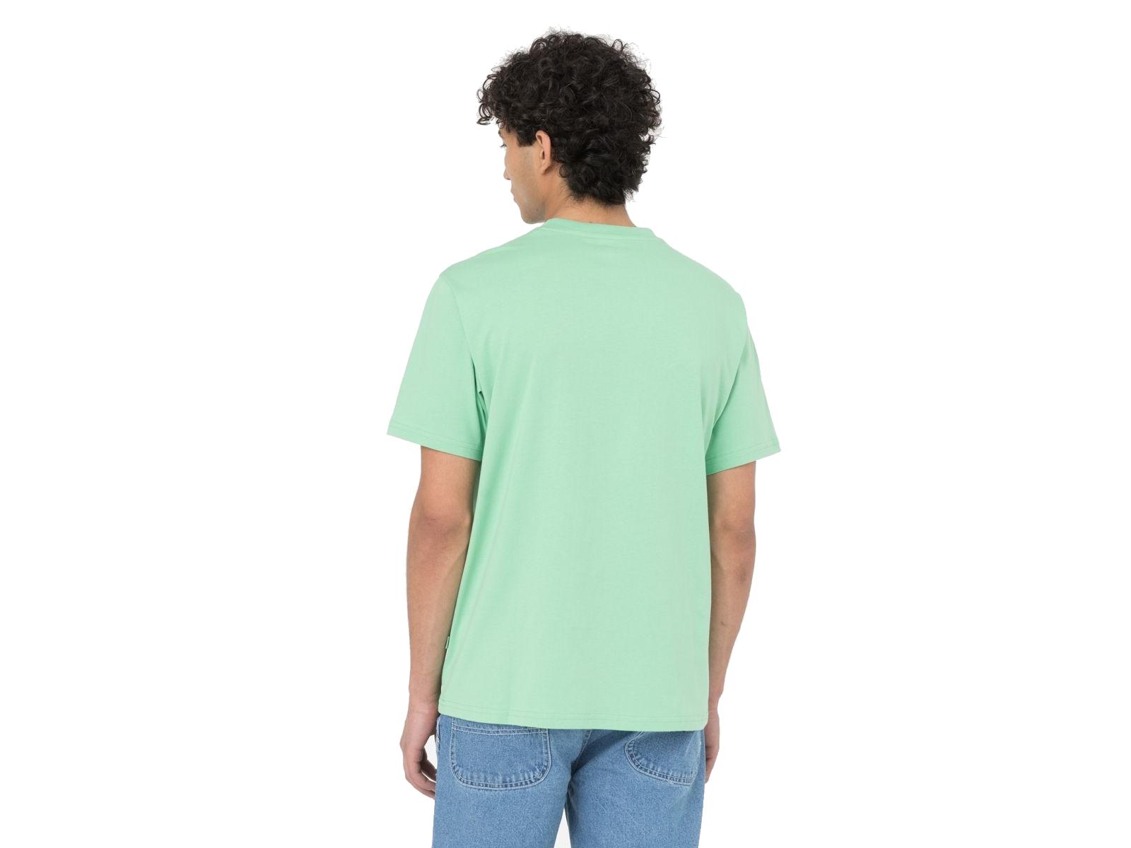 DICKIES Camiseta Mapleton Mens Short-Sleeved T-Shirt Mint