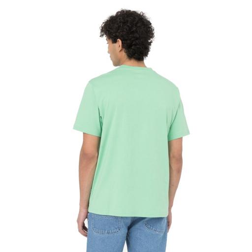 DICKIES Camiseta Mapleton Mens Short-Sleeved T-Shirt Mint [0]