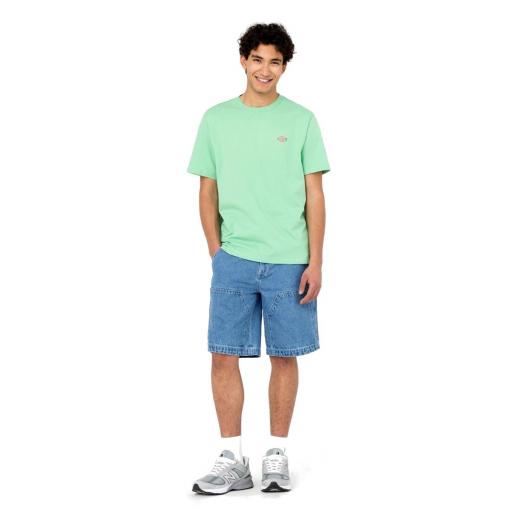 DICKIES Camiseta Mapleton Mens Short-Sleeved T-Shirt Mint [2]