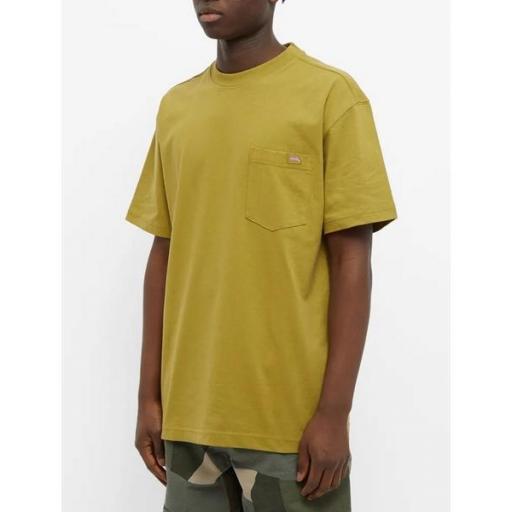 DICKIES Camiseta Porterdale Mens Short-Sleeved T-Shirt Green Moss [0]