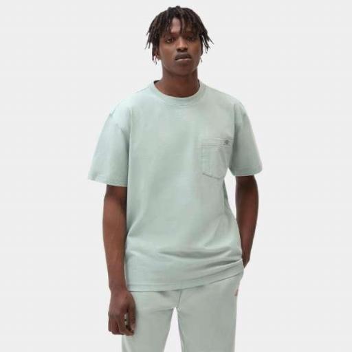 DICKIES Camiseta Porterdale Mens Short-Sleeved T-Shirt Jadeite [0]