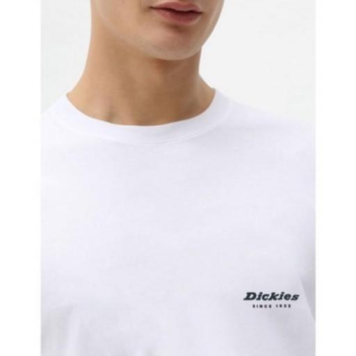 DICKIES Camiseta Quamba Box Tee White [2]