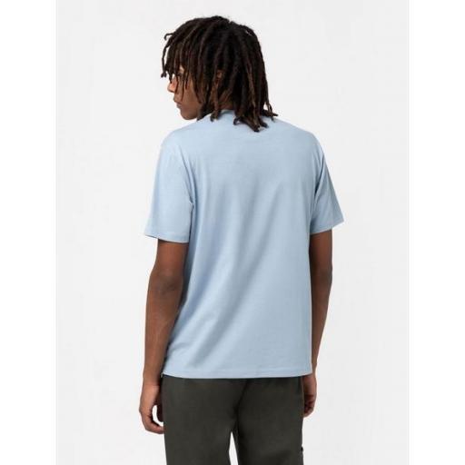 DICKIES Camiseta SS Mapleton T-Shirt Ashley Blue [1]