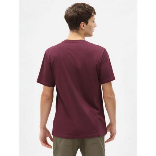 DICKIES Camiseta SS Mapleton T-Shirt Maroon [1]