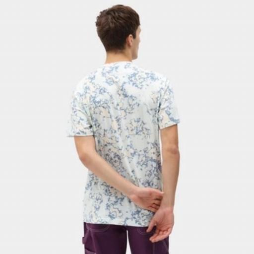 DICKIES Camiseta Sunburg Tee Fog Blue [1]