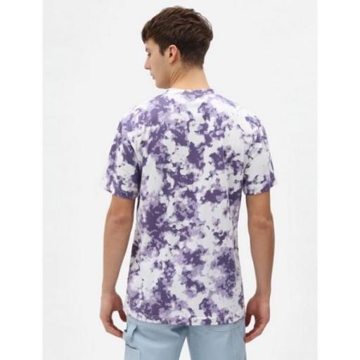 DICKIES Camiseta Sunburg Tee Purple Gumdrop [1]