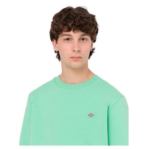 DICKIES Sudadera Oakport Sweatshirt Apple Mint [3]