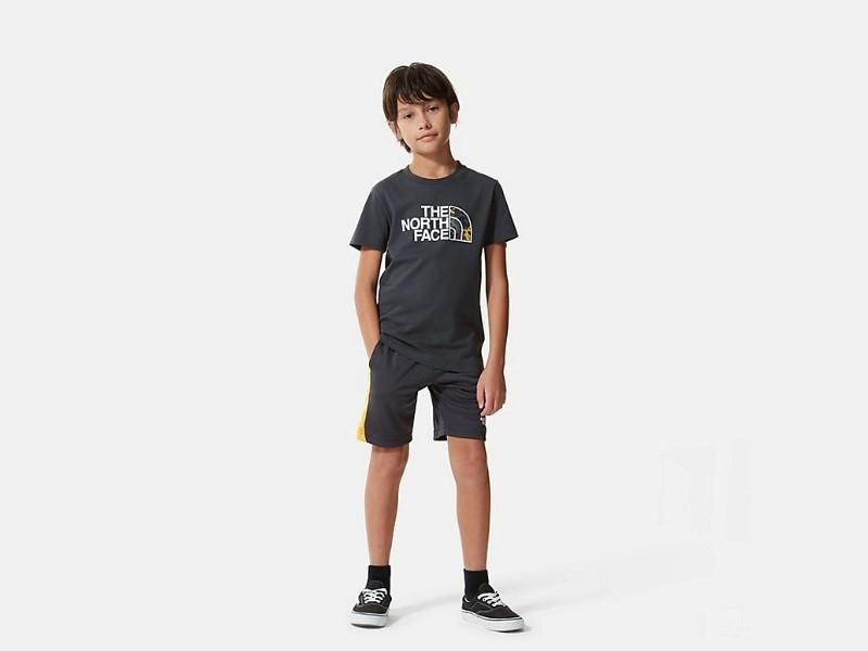 THE NORTH FACE Camiseta Niño Easy Asphalt Grey-Summit Gold Camo